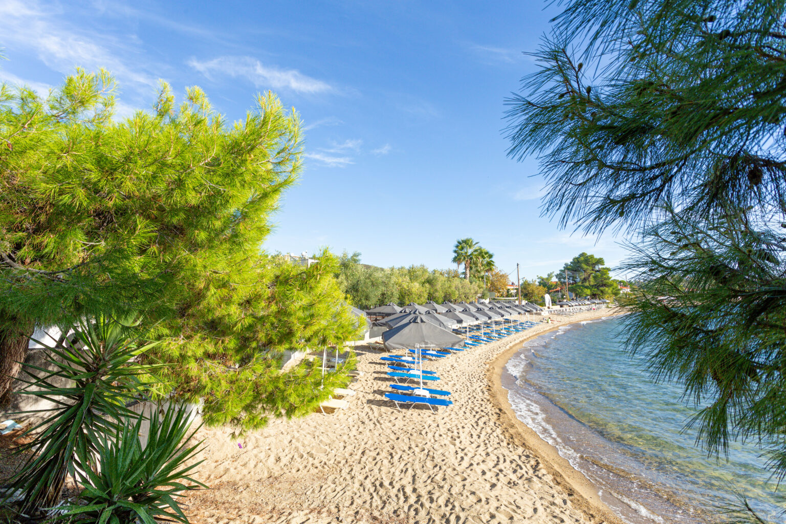 Paradisos Holiday Discover Sithonia